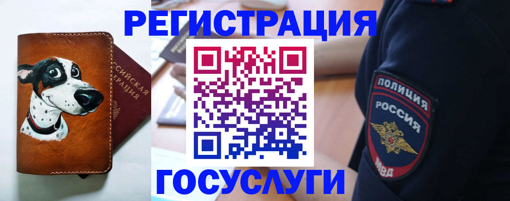 временная регистрация в квартире в Губкинском